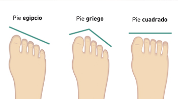 Guía de Tallas. CÓMO MEDIR EL PIE