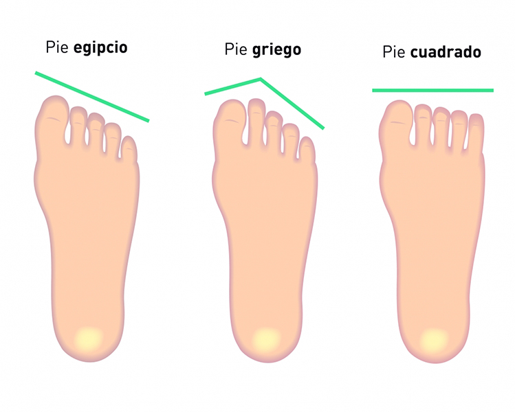 Tipos de pies según la forma de los dedos