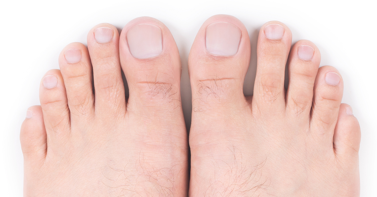 Crecimiento de las uñas de los pies. ¿Cuándo, cuánto y por qué crecen? -  Podoactiva. Líderes en Podología