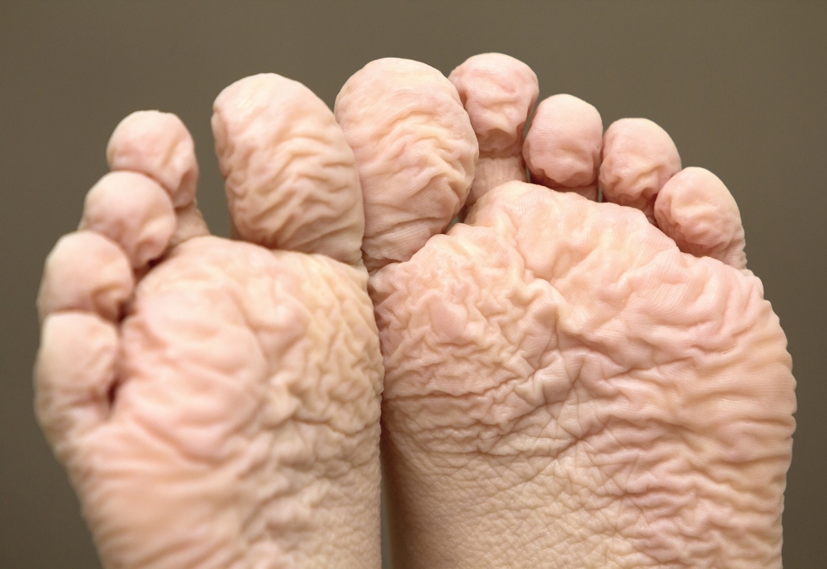 La piel tiene una capa grasa en toda su extensión llamada sebo que es la encargada de hacer el efecto impermeable.