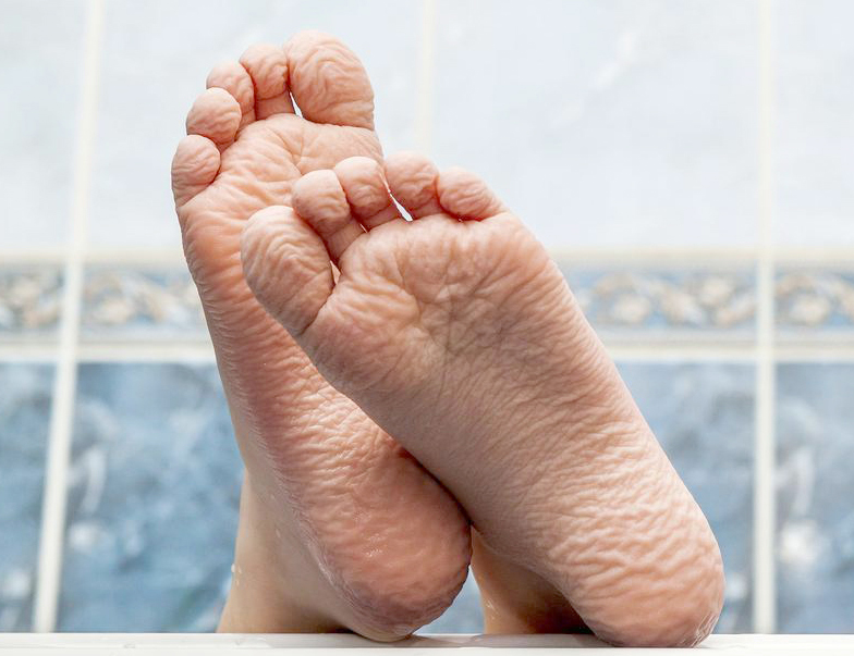 Los dedos de los pies y manos se arrugan al estar bastante rato en la bañera o en la piscina.