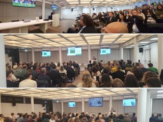 La podología del calcio