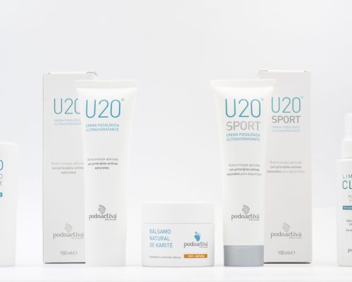 todos los productos web