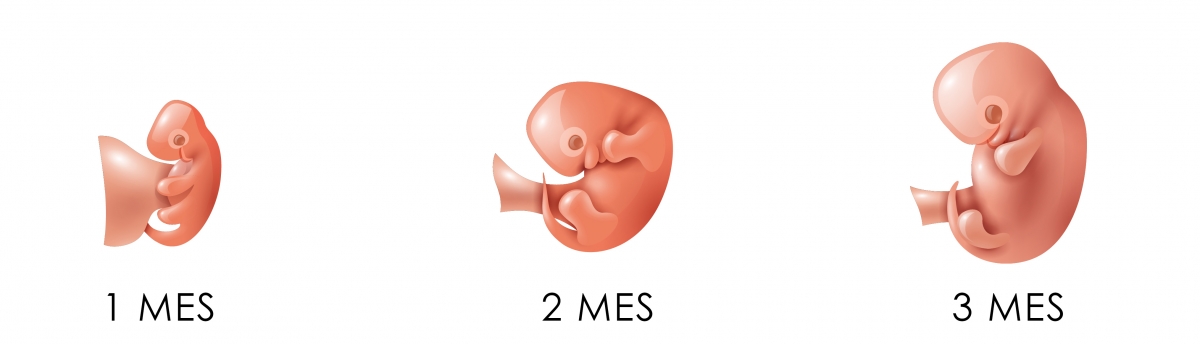 Evolución bebé 3 meses