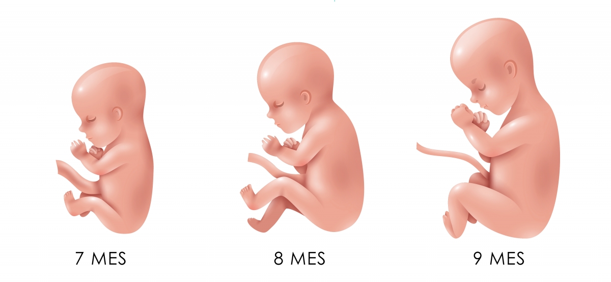 baby evolution 9 months