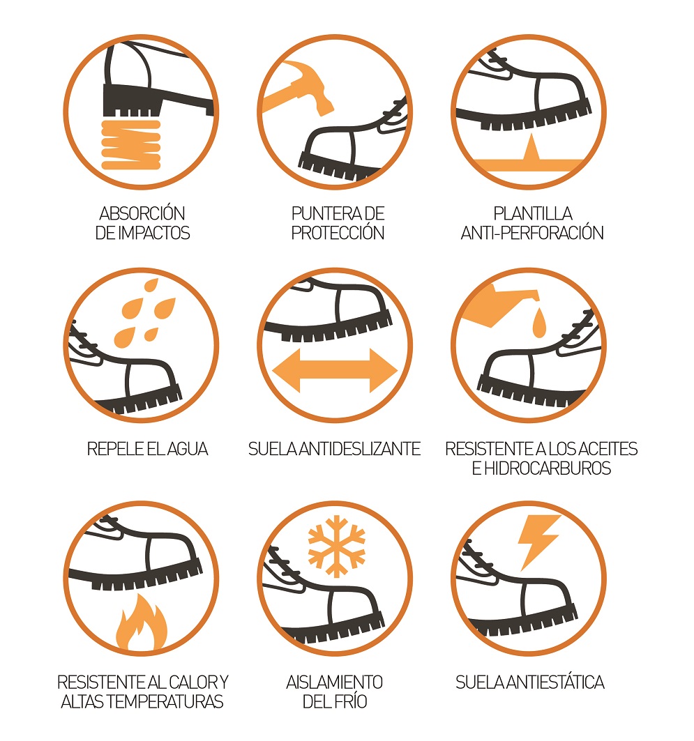 Características de las fotos de seguridad en una infografía