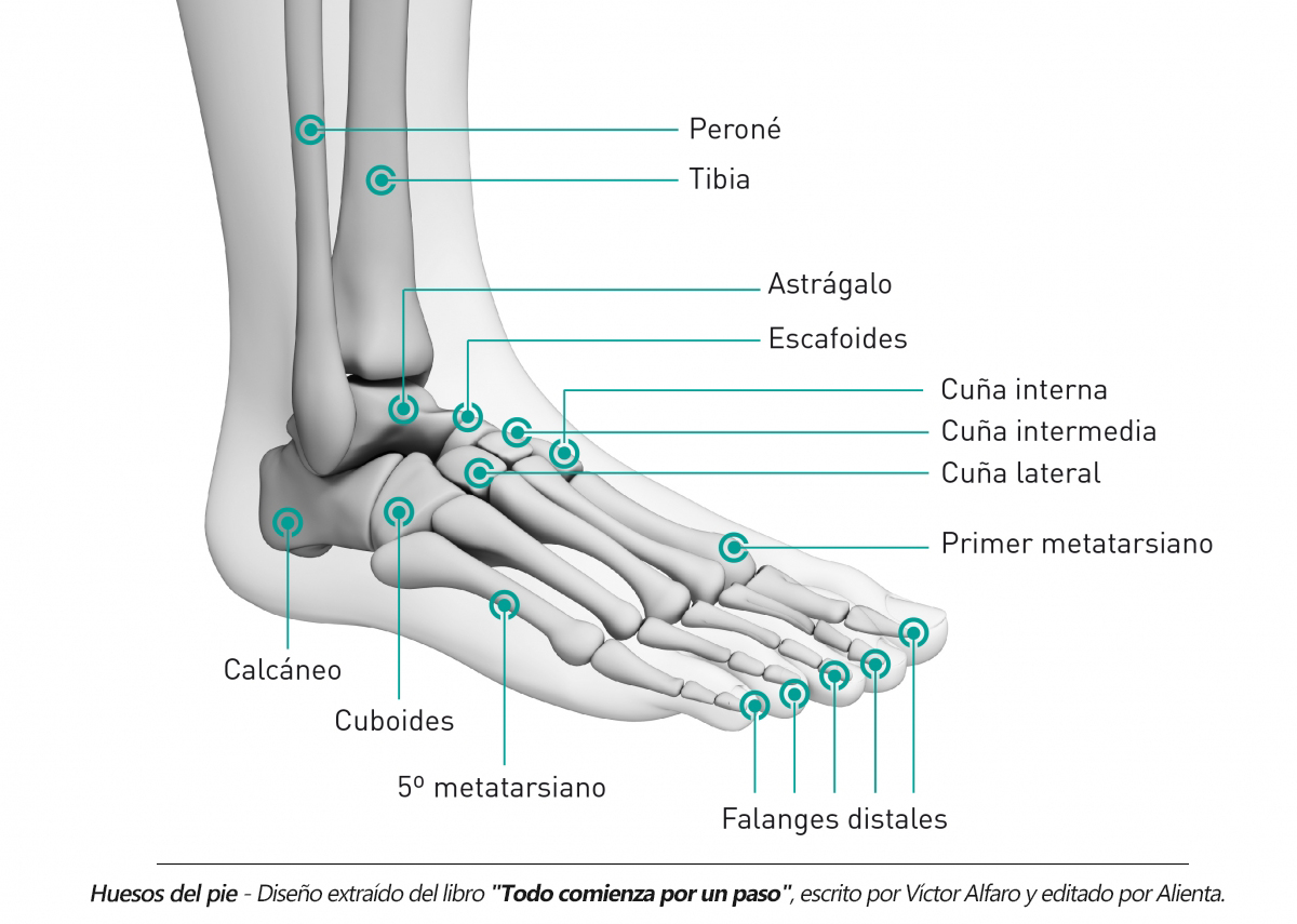 Linfedema tobillo tratamiento