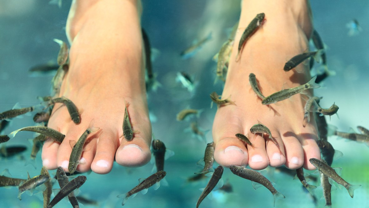Terapia con peces o ictioterapia ¿es peligrosa para la salud de los pies? -  Podoactiva. Líderes en Podología