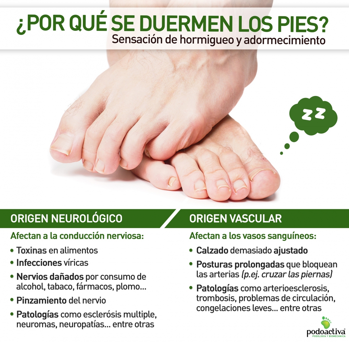Infografía de Podoactiva con información sobre por qué se duermen los pies