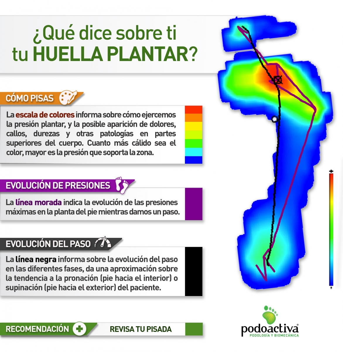 nostalgia dosis amplitud analisis biomecanico del pie vertical Trueno Eh